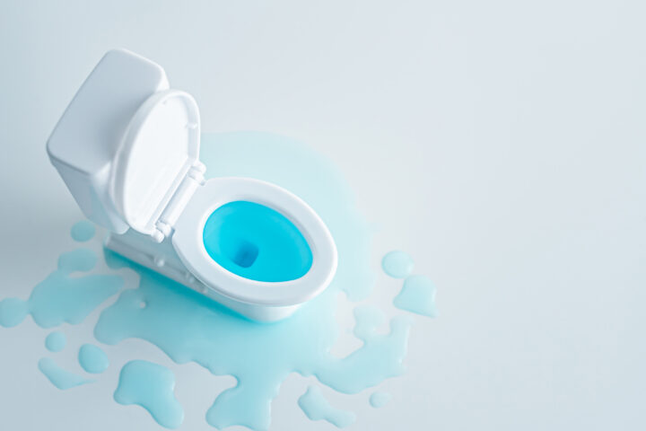 トイレの水漏れ修理 浜松市 磐田市周辺に対応の画像